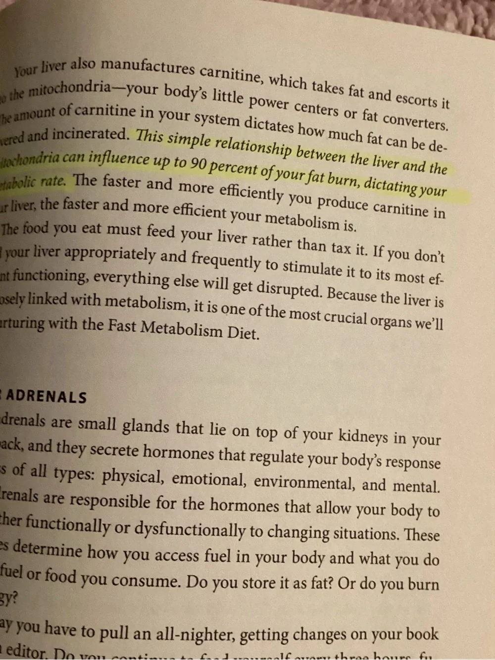 The Fast Metabolism Diet 2013 Hardback Health Lifestyle Book